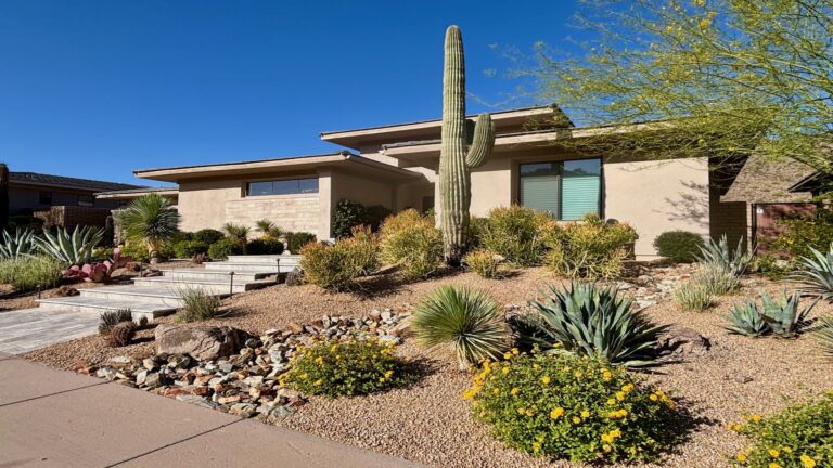 Established Arizona home with tall saguaro cactus representing HELOC draw period and repayment phase transition